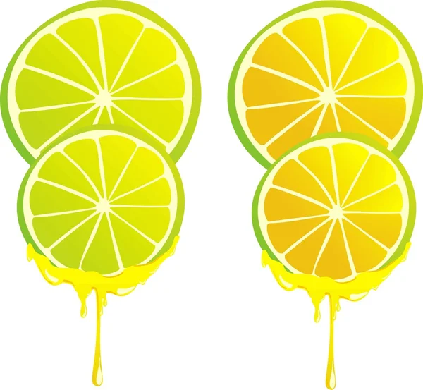 Стилизованный лимонный лимон и лимонная гвоздика — стоковое фото