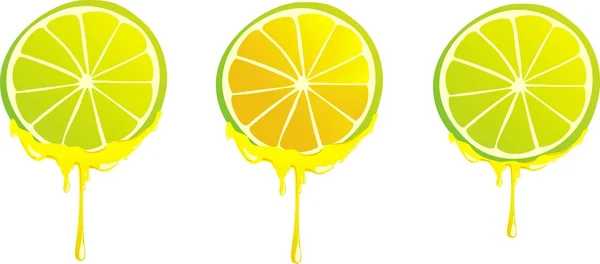 Limões estilizados — Fotografia de Stock