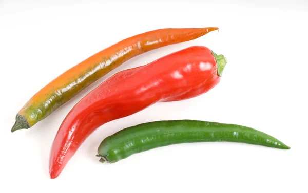 Bitter pepper — Stock Photo, Image