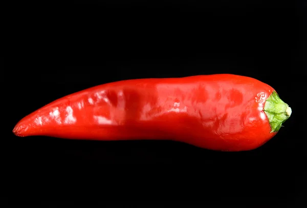 红色、 苦涩的辣椒 — 图库照片