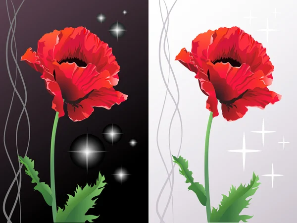 红罂粟花 — 图库矢量图片