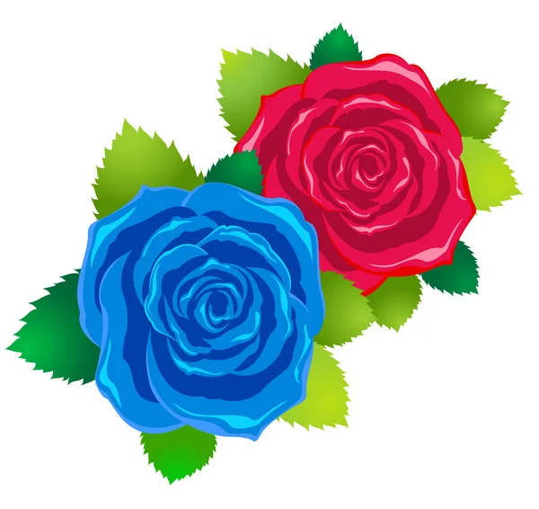 Две розы — стоковый вектор