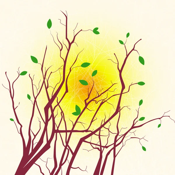 Våren träd grenar siluett — Stock vektor