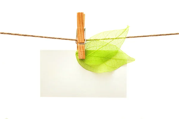 Carta bianca con foglie verdi e vestiti — Foto Stock