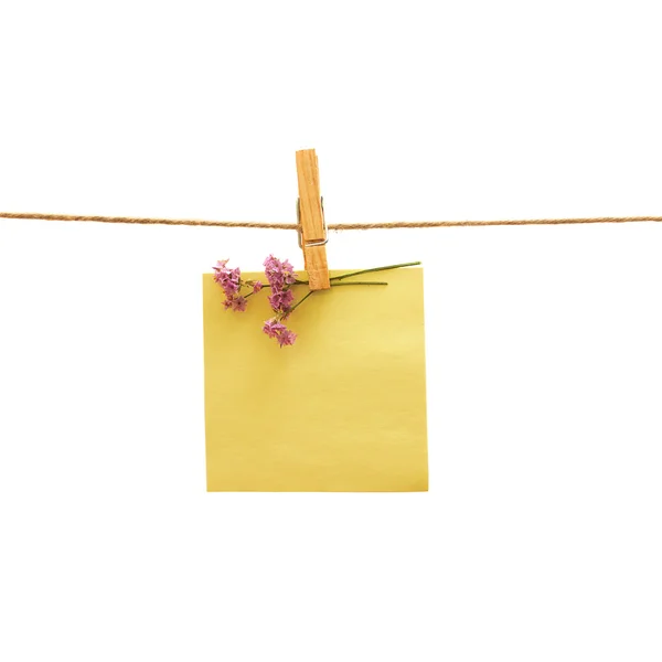 Жовте нагадування і фіолетова квітка з одягом — стокове фото