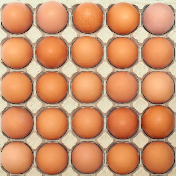 Hintergrund der Eier — Stockfoto