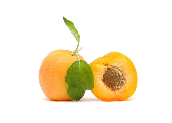 Apricot with green leaf and stone isolated on white background — Stock Photo, Image