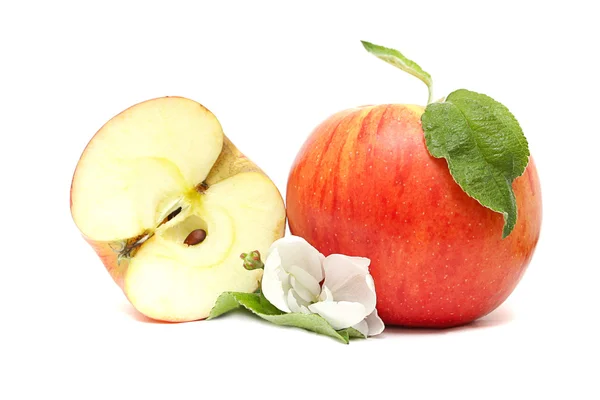 Rött äpple, hälften och blommor på vit bakgrund — Stockfoto