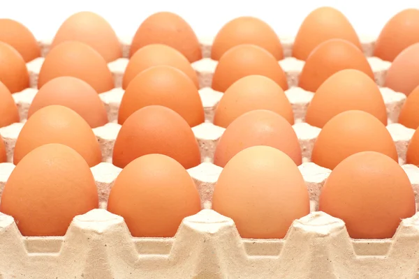 Filas de huevos en un recipiente protector — Foto de Stock