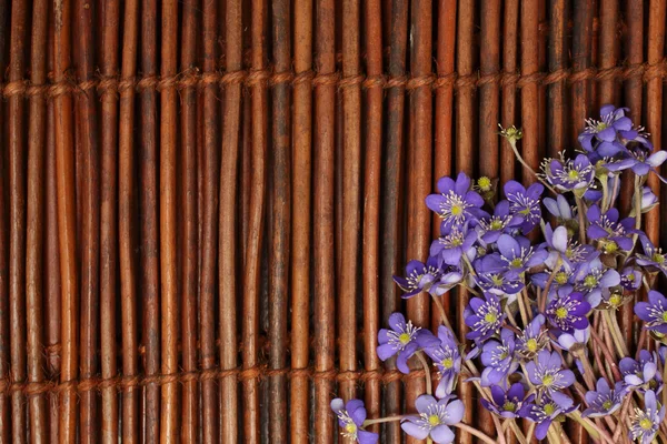 Veilchenblüten auf einer braunen Holzmatte. Hintergrund — Stockfoto