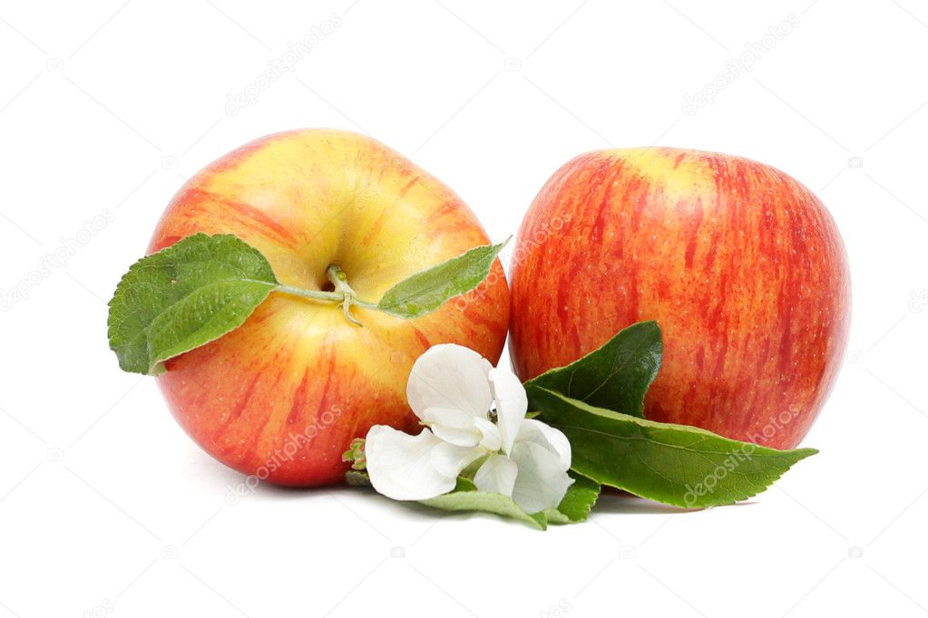 Two red apples with green leaves and flower