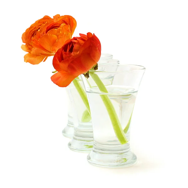 Florero con flores anaranjadas aisladas sobre fondo blanco — Foto de Stock
