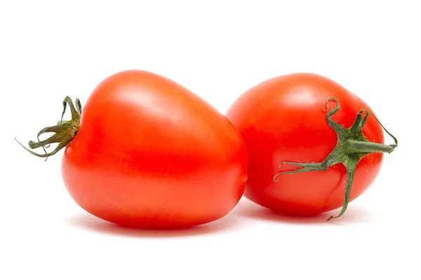 stock image Tomatoes on the white background