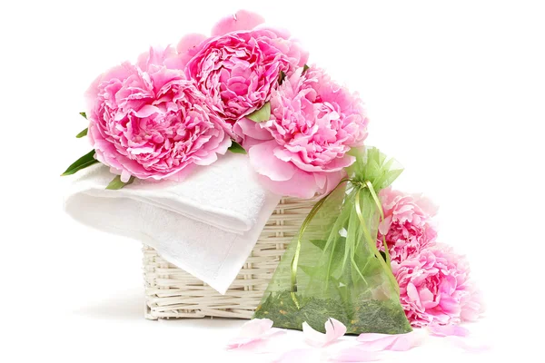 Wellness-Aromatherapie: Blume, weißes Handtuch, Tasche mit natürlichen Kräutern. sof — Stockfoto