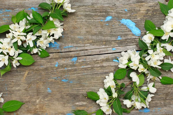 Telaio di rami fioriti su uno sfondo di legno — Foto Stock