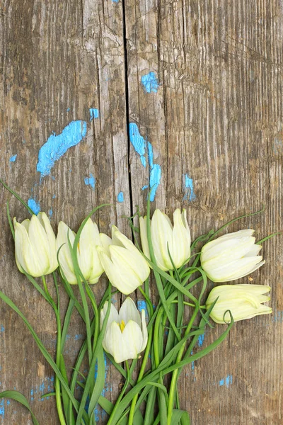 Delicati fiori bianchi su uno sfondo di vecchia pla di legno incrinato — Foto Stock