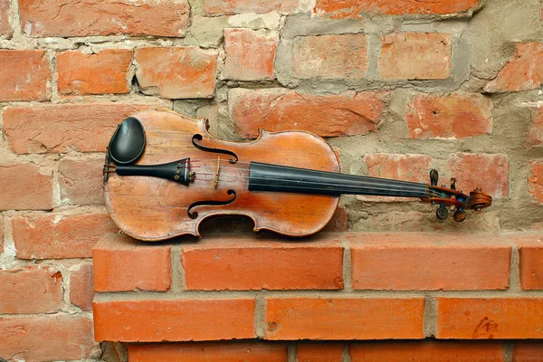 旧小提琴和空红砖墙 — 图库照片
