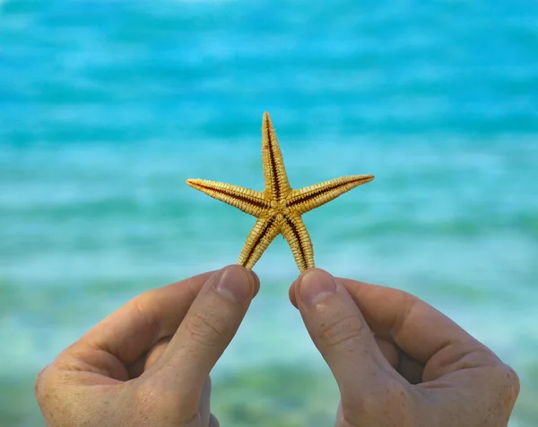 Deniz yıldızı deniz arka plan üzerinde elinde — Stok fotoğraf