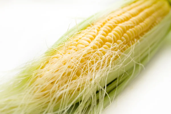 O milho no branco — Fotografia de Stock