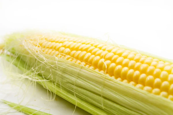 Kukuřice na bílém pozadí — Stock fotografie