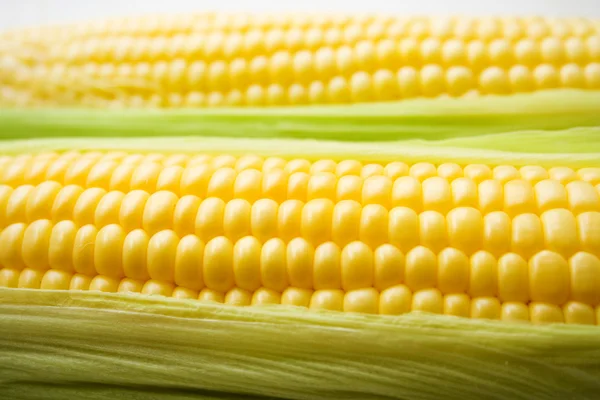Kukuřice na bílém pozadí — Stock fotografie
