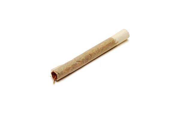 stock image Joint