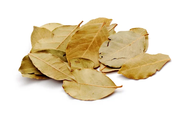 베이 잎 — 스톡 사진
