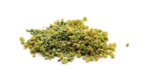 Hemp / marijuana buds — Stock Photo, Image
