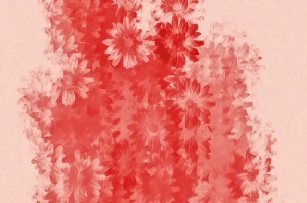 Sedmikrásky květinový vzor — Stock fotografie