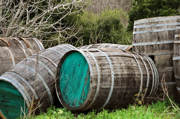 stock image Wooden barrels