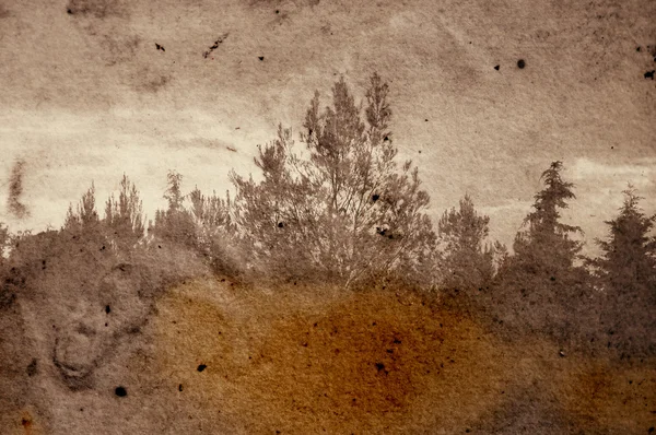 Pădurea decolorată — Fotografie, imagine de stoc