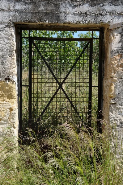 Puerta de metal vintage —  Fotos de Stock