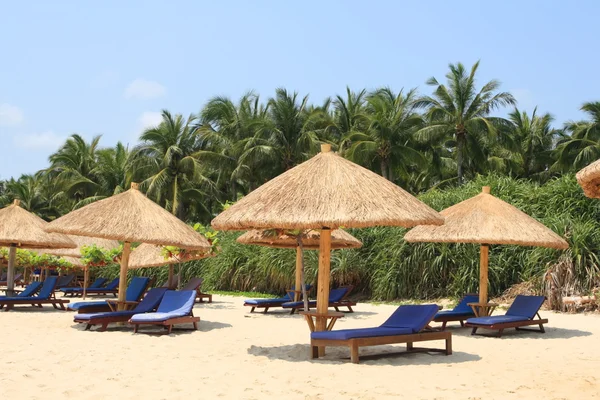 stock image Plank bed on a beach