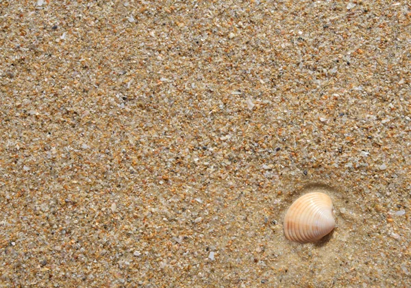 stock image Sand; a background; the invoice