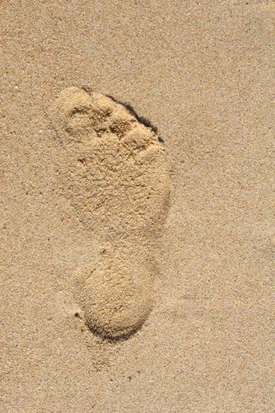 stock image The Trace on sand