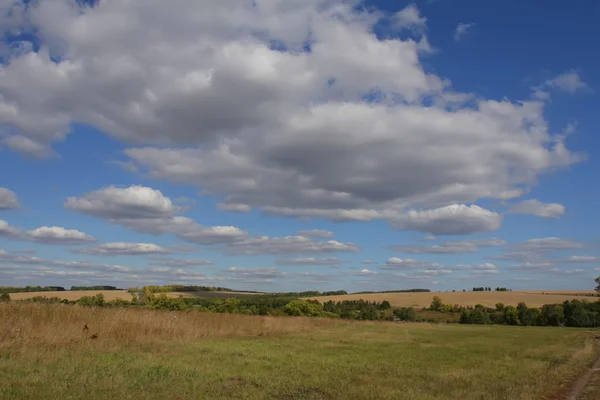 Campo, el cielo. Un paisaje de años —  Fotos de Stock