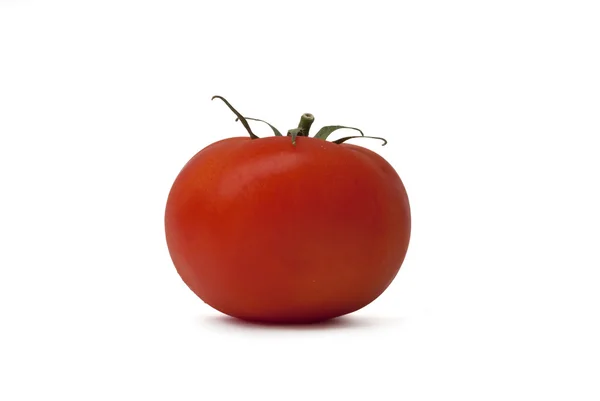 stock image Isolated tomato