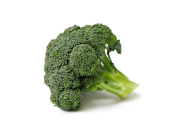 Geïsoleerde broccoli — Stockfoto