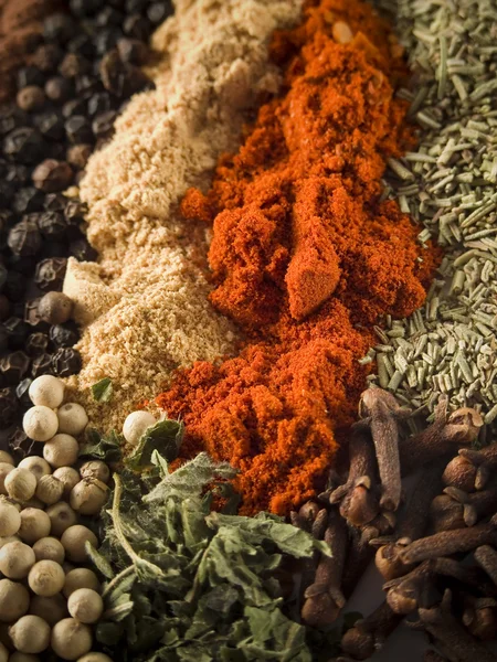 Spices background — Stock Photo, Image