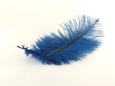 Blue feather clipart