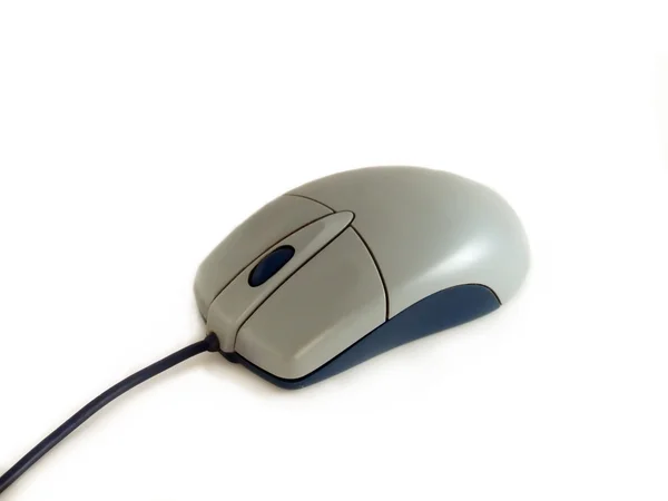 stock image Computer mouse