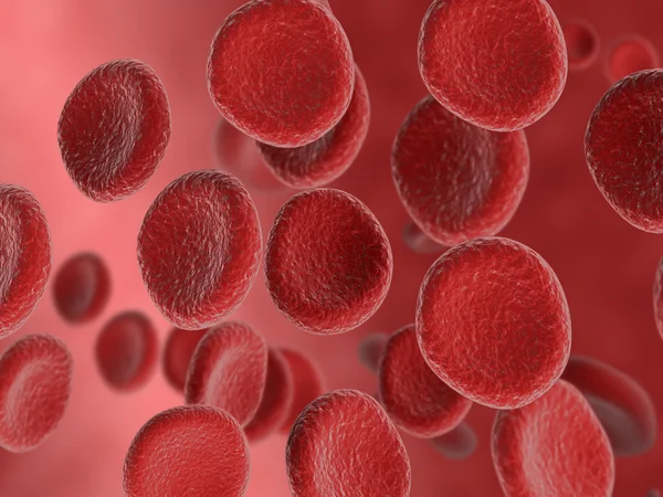 红细胞流 — 图库照片