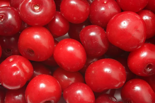 Ripe red cherries background — Stock Photo, Image