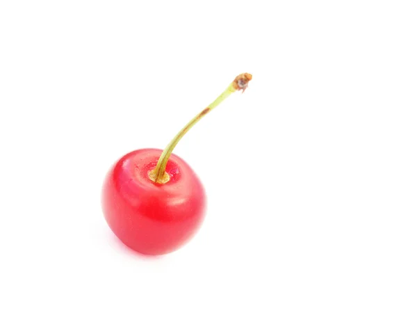 Single cherry isolated on white — Stock Photo, Image