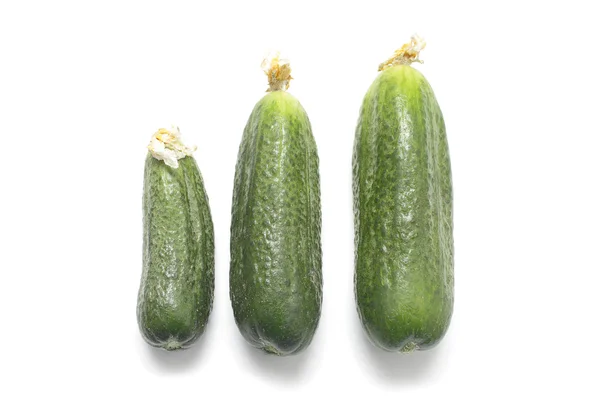 Drie rijpe komkommers geïsoleerd op wit — Stockfoto