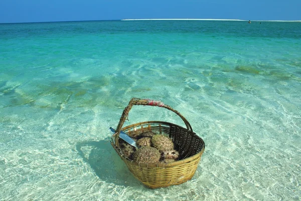 Basket at the beach — Stock Photo, Image