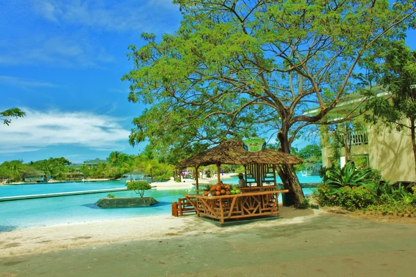 세부 막 탄 섬에 있는 여름 — 스톡 사진