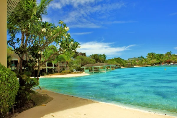 Summertime mactan Island, Cebu