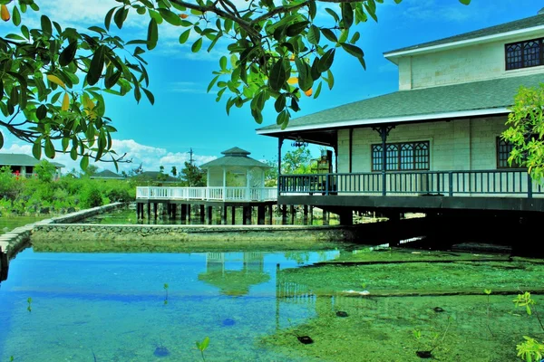 세부 막 탄 섬에 있는 여름 스톡 사진