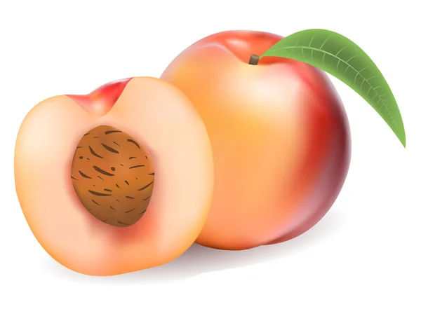 Персики — стоковый вектор